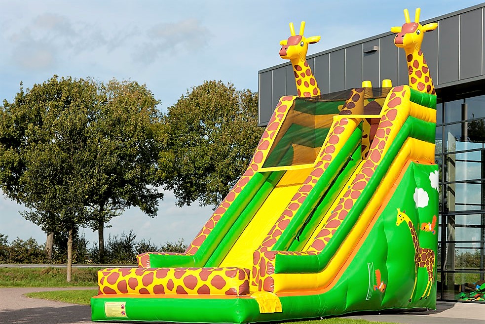 Giraffe Slide